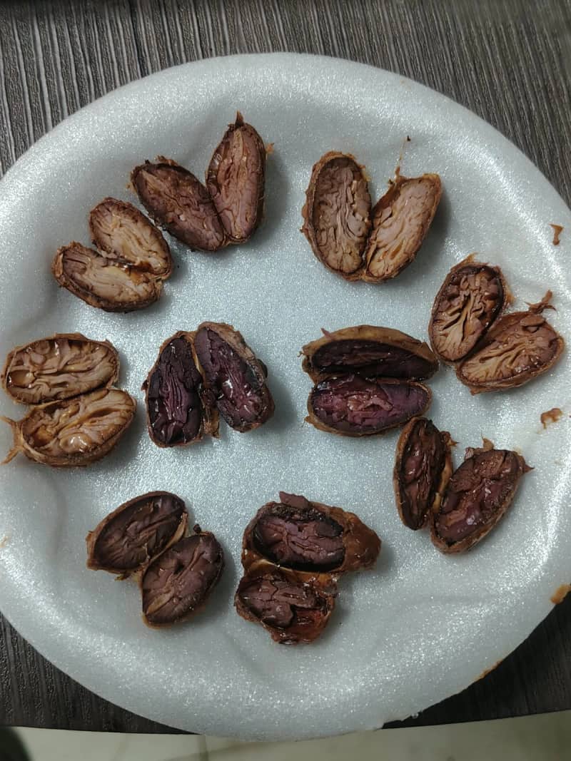 Prueba de corte de granos de cacao